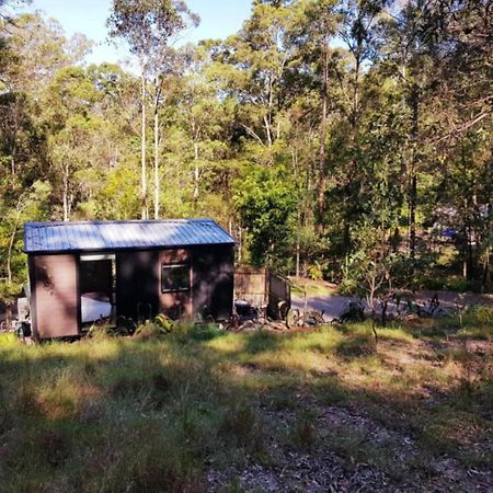 Mooloolah Wilderness View By Tiny Awayヴィラ エクステリア 写真